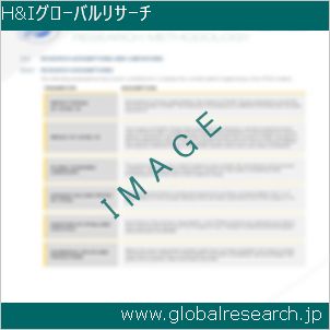 グローバルリサーチ調査レポートのイメージ